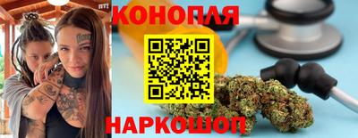 мяу мяу мука Кингисепп