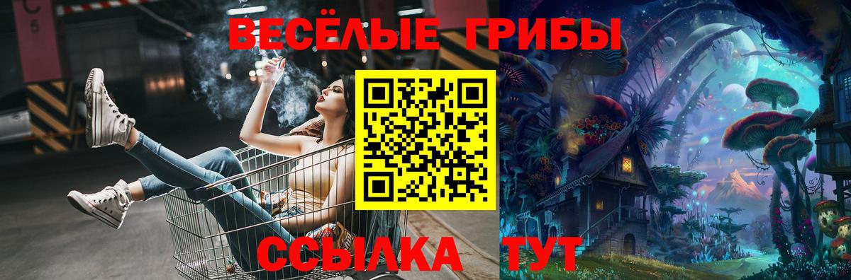 Галлюциногенные грибы GOLDEN TEACHER  Вход с VPN  Спасск-Дальний  Псилоцибиновые грибы Psilocybe 